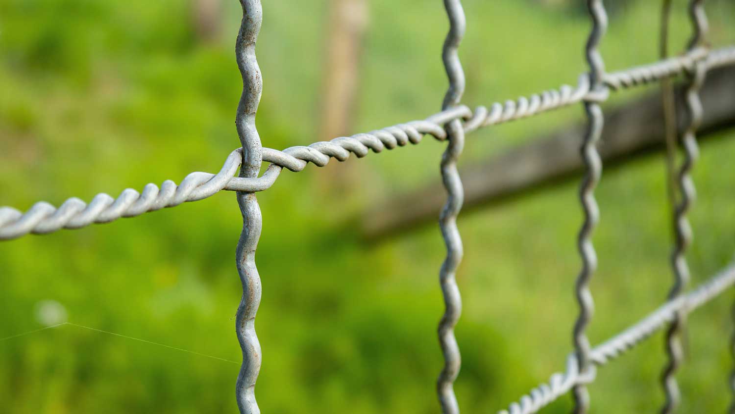 Detail of a woven wire fence in the yard