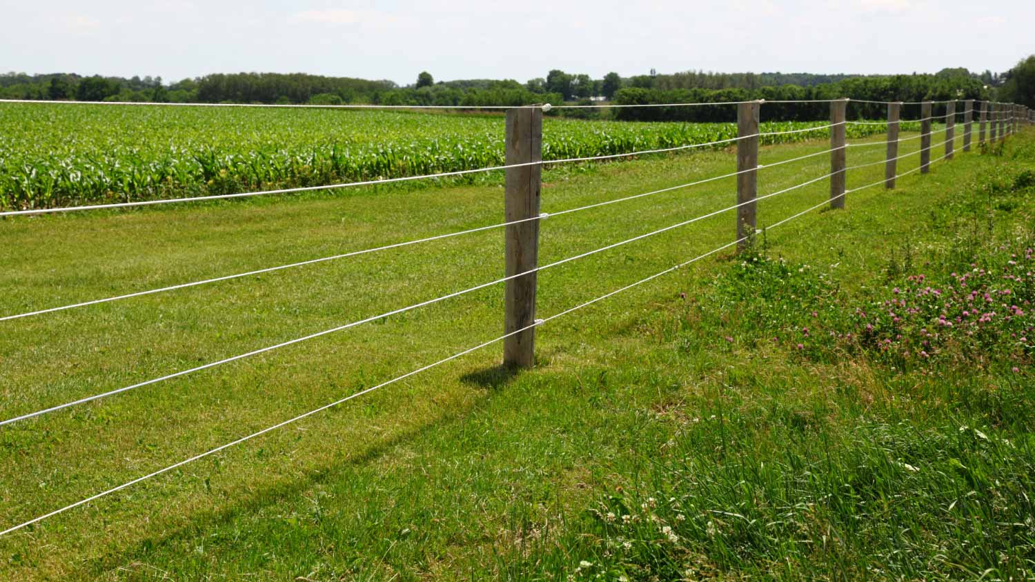 An electric fence on a farm