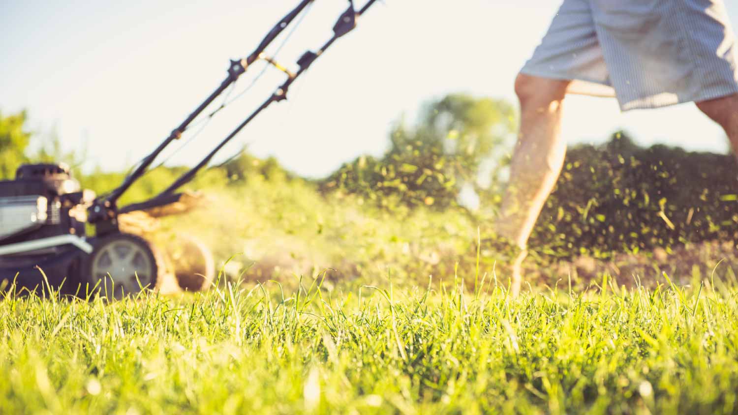 A man mowing grassy field