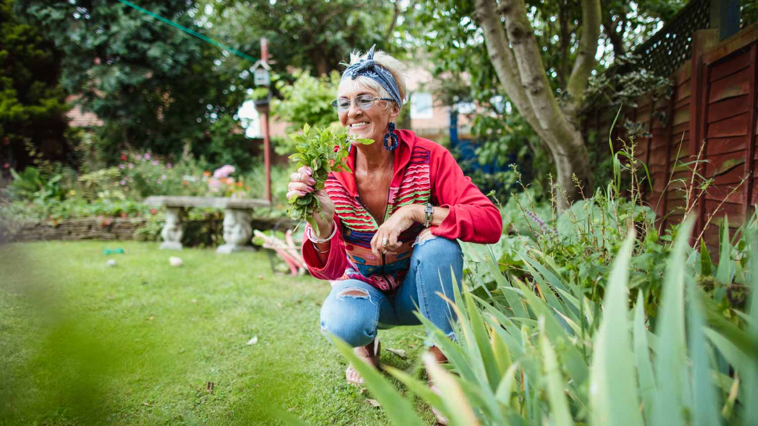 Woman gathering fresh mint from her back garden