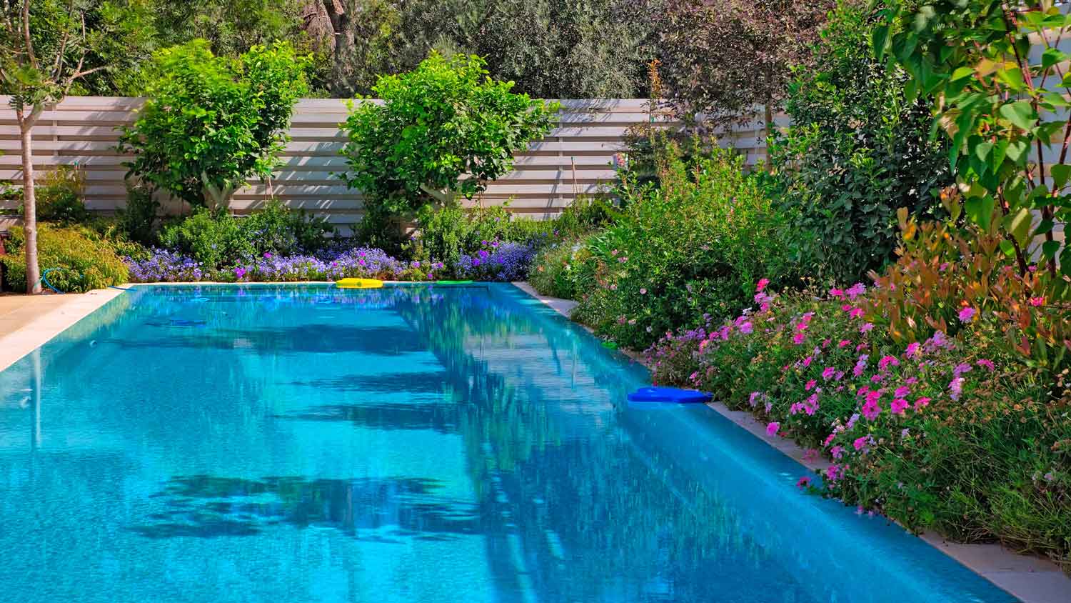 A beautiful pool surrounded by floweres