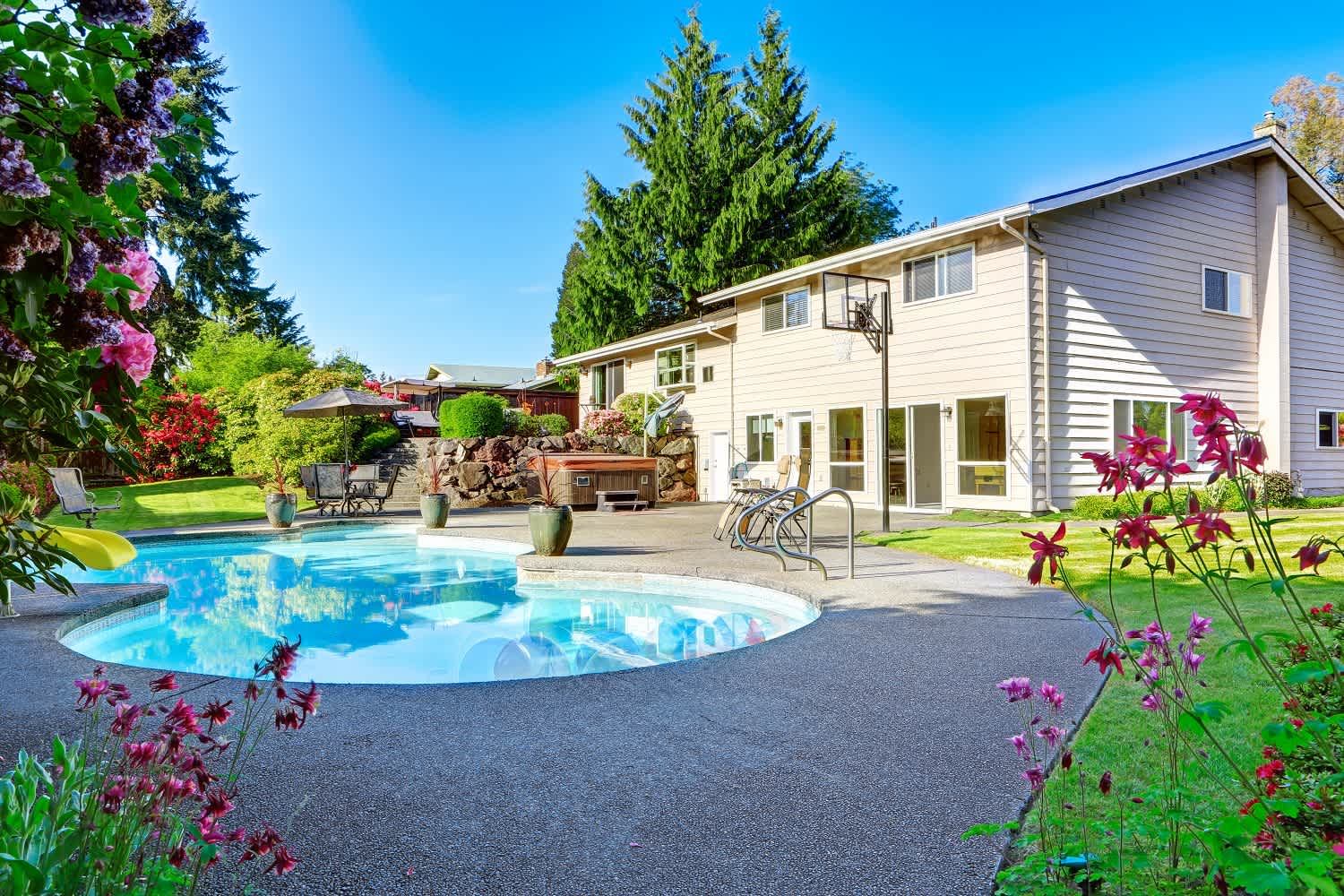 Backyard with small beautiful swimming pool
