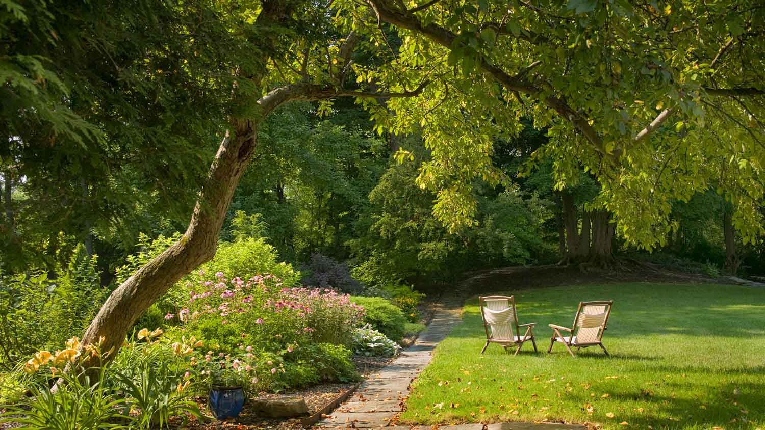 Two chairs under a tree in the yard