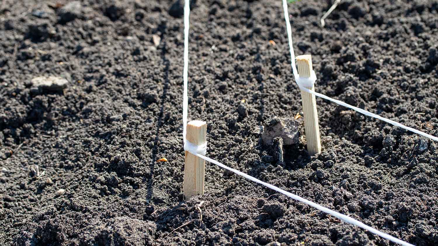 Wooden pegs in the ground with rope attached