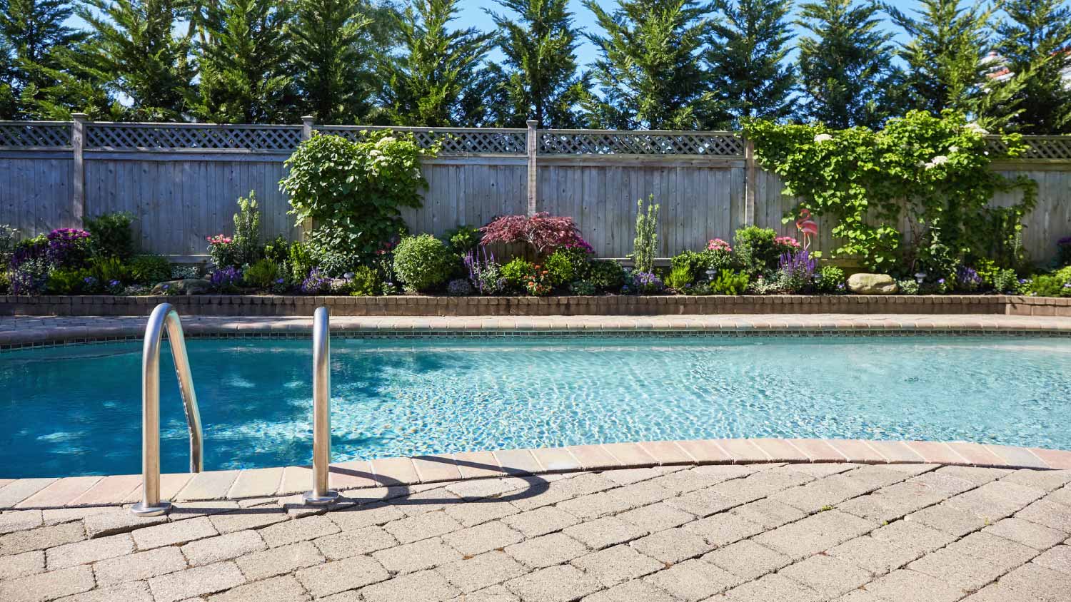 Backyard pool and garden