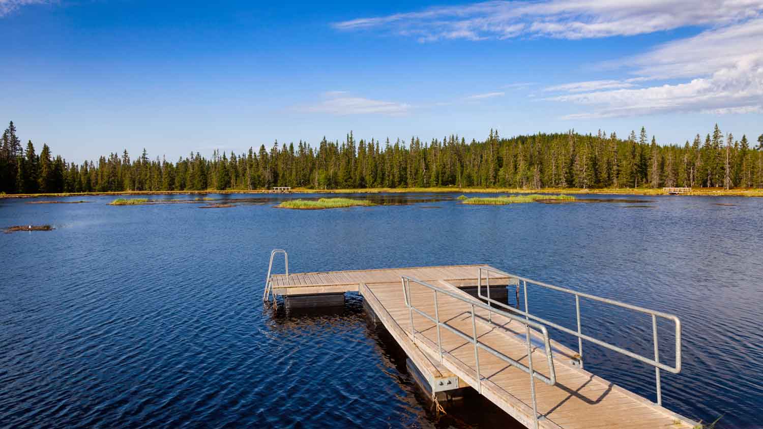 A floating dock overlooking a lake and trees