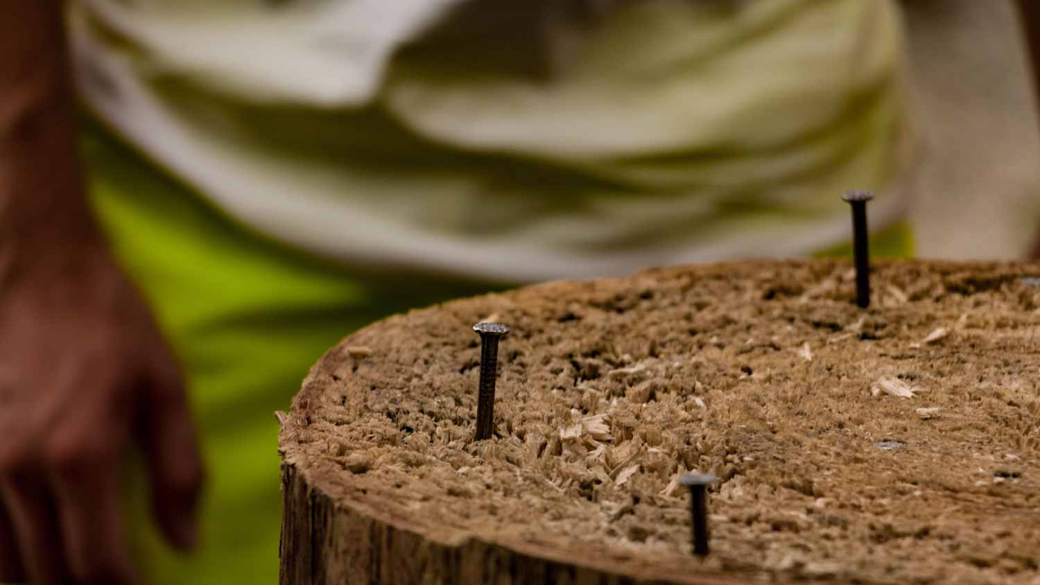 Close-up of tree stump on field