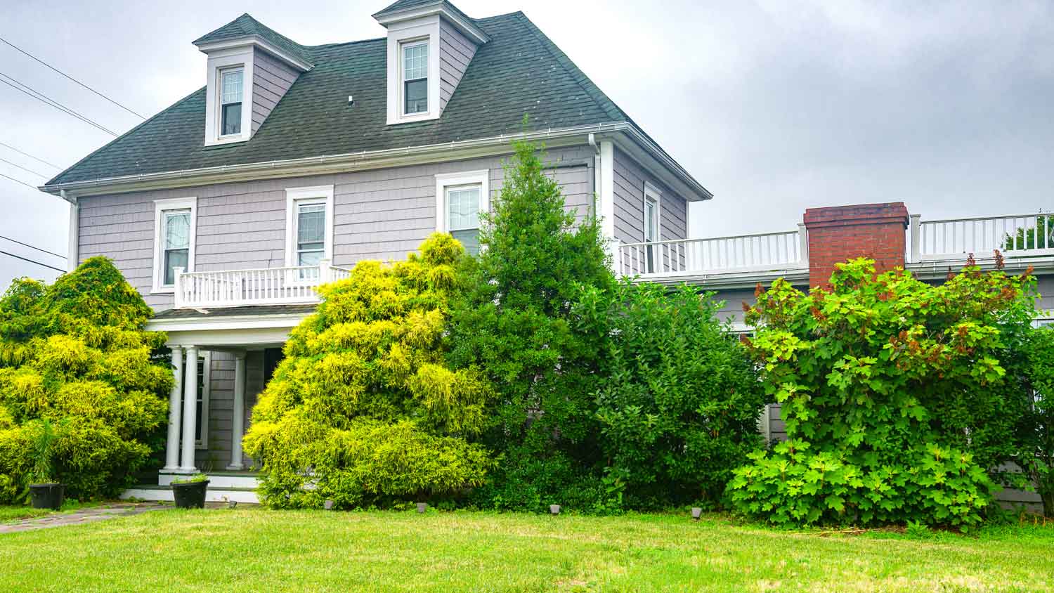 A two story house with various trees in its yard