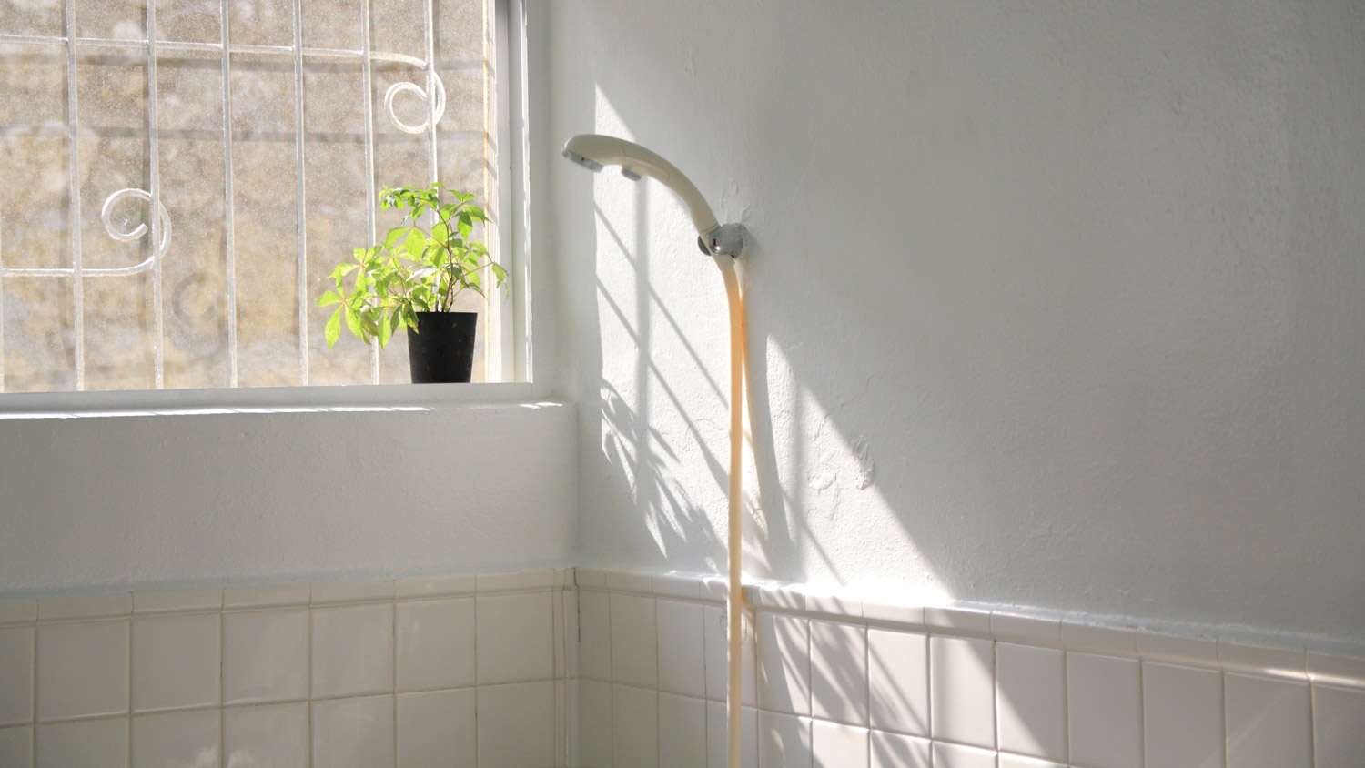 A sunlit handheld shower head