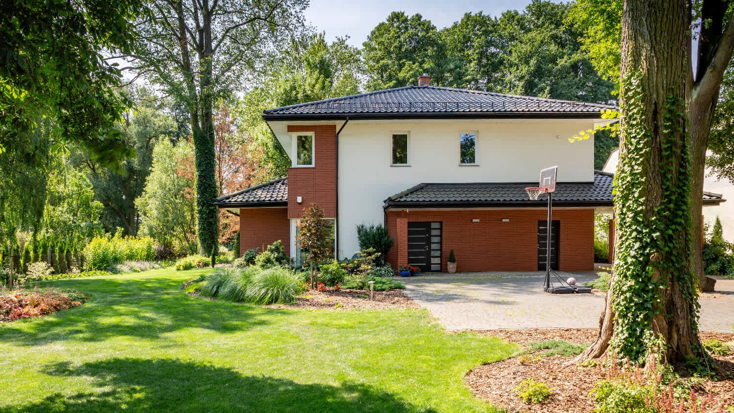 house exterior with with trees containing ivy