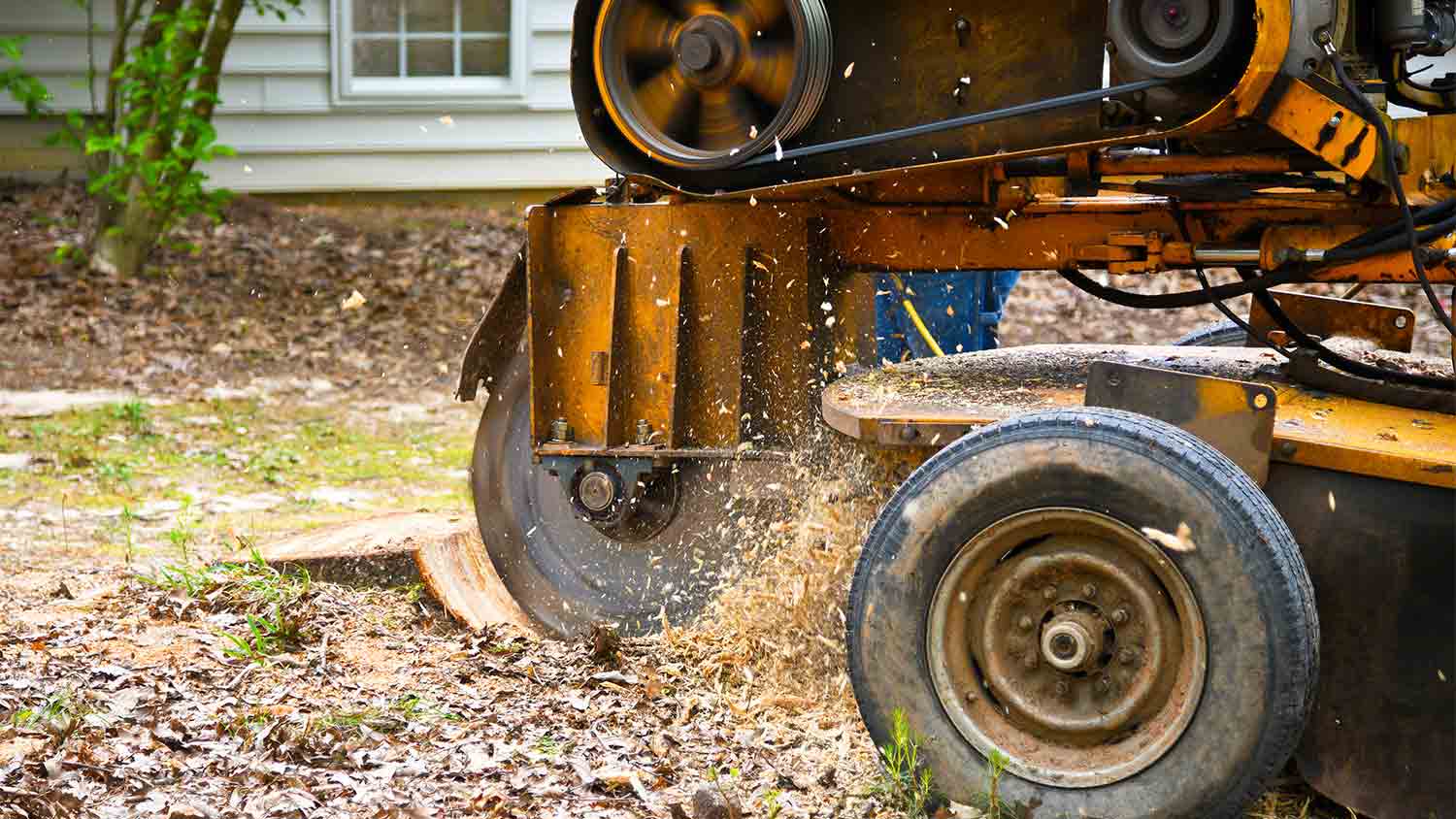 stump grinding machine
