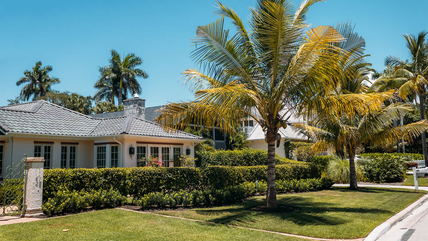 tropical home with palm trees in front yard