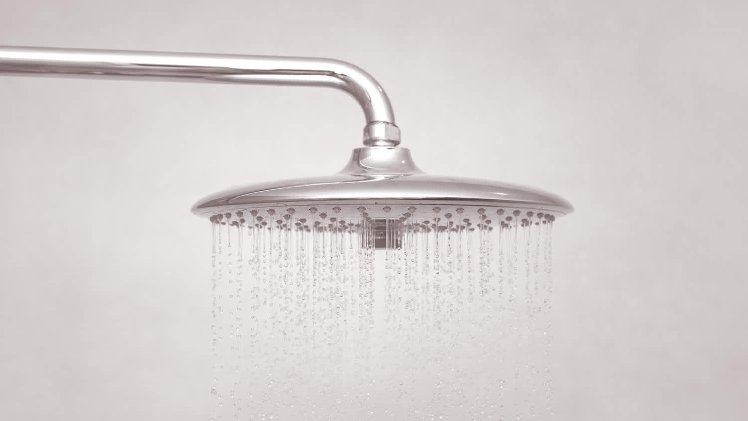 A rain shower head