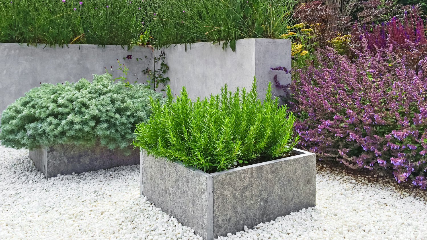 white pea gravel surrounding plant