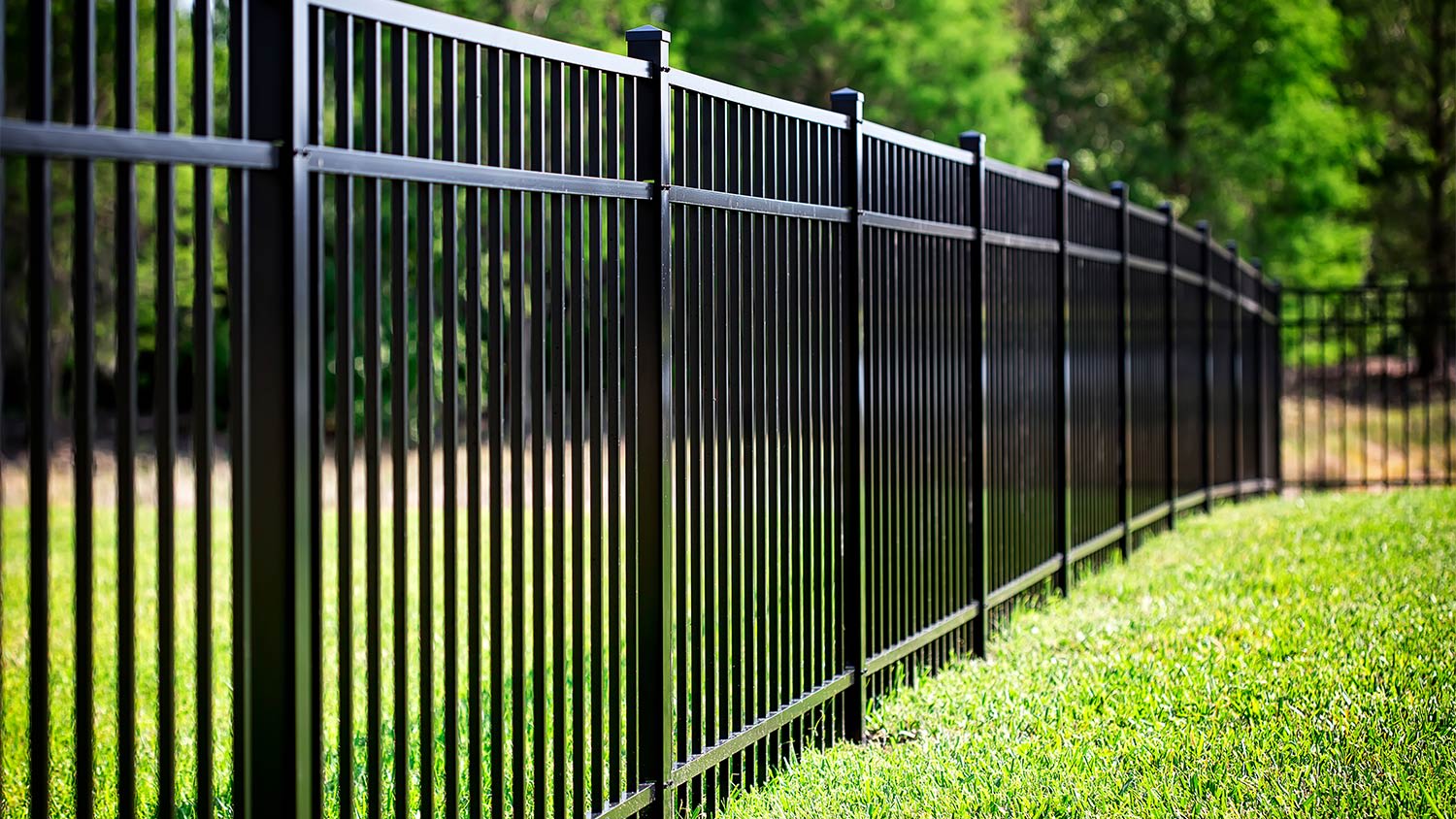 Steel fence on green grass