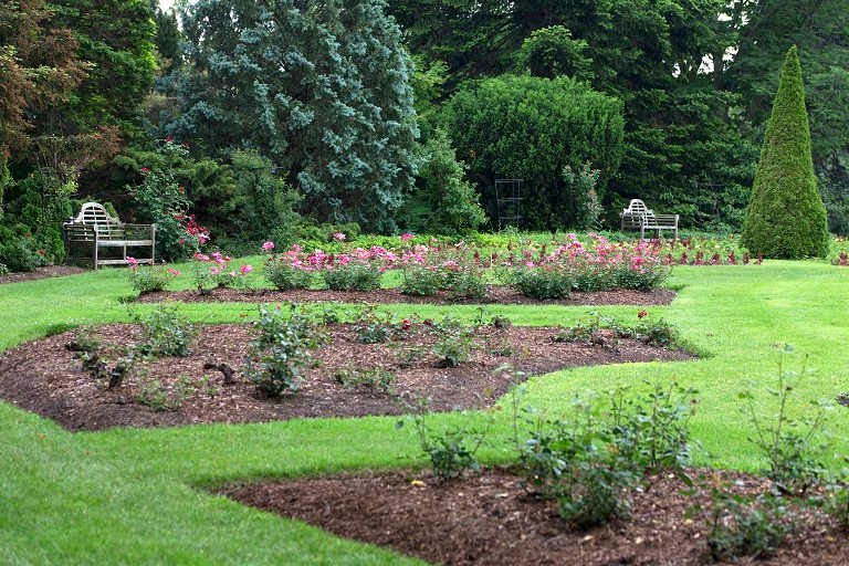 Garden with mulch