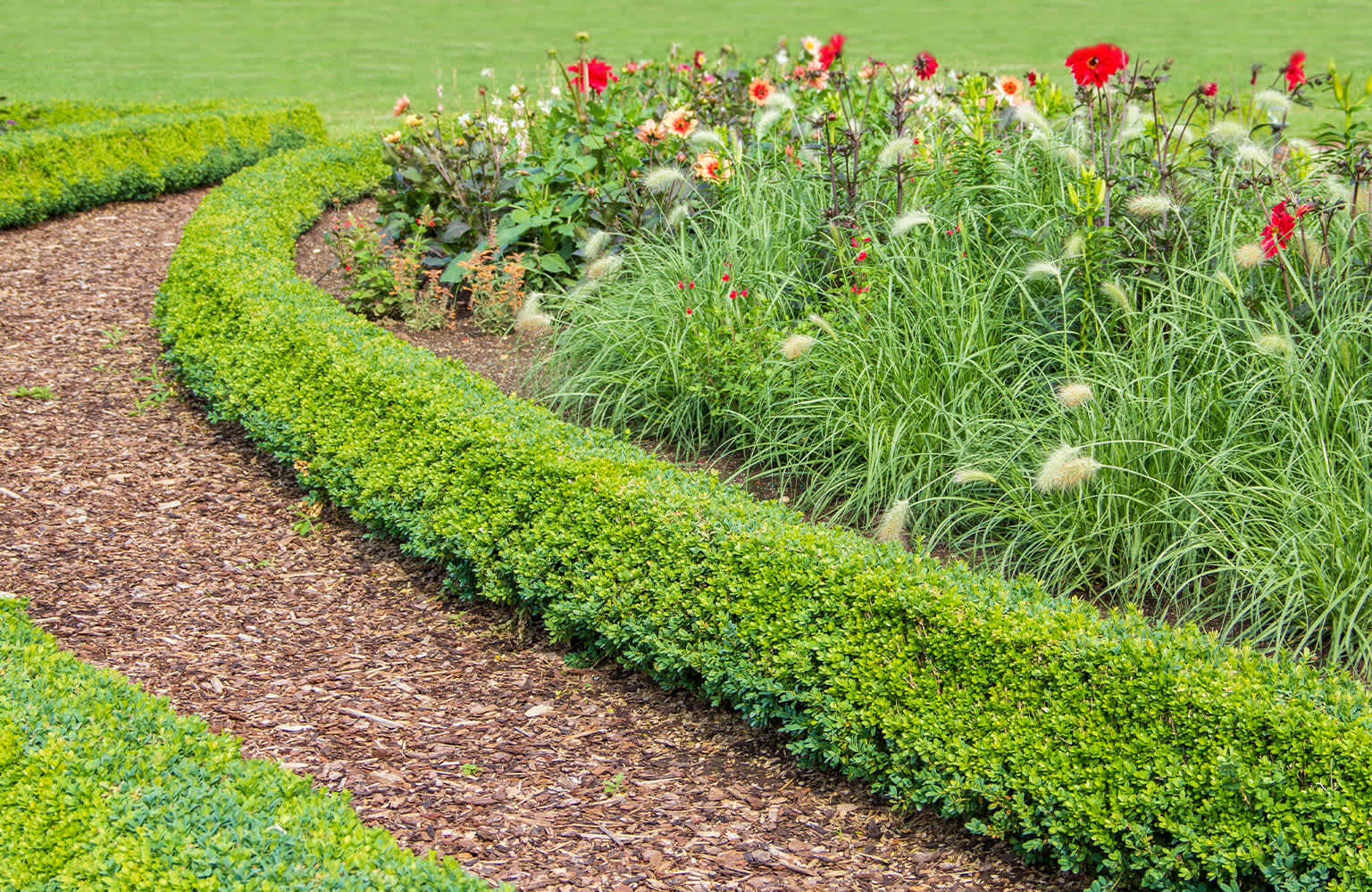 mulch walkway landscaping