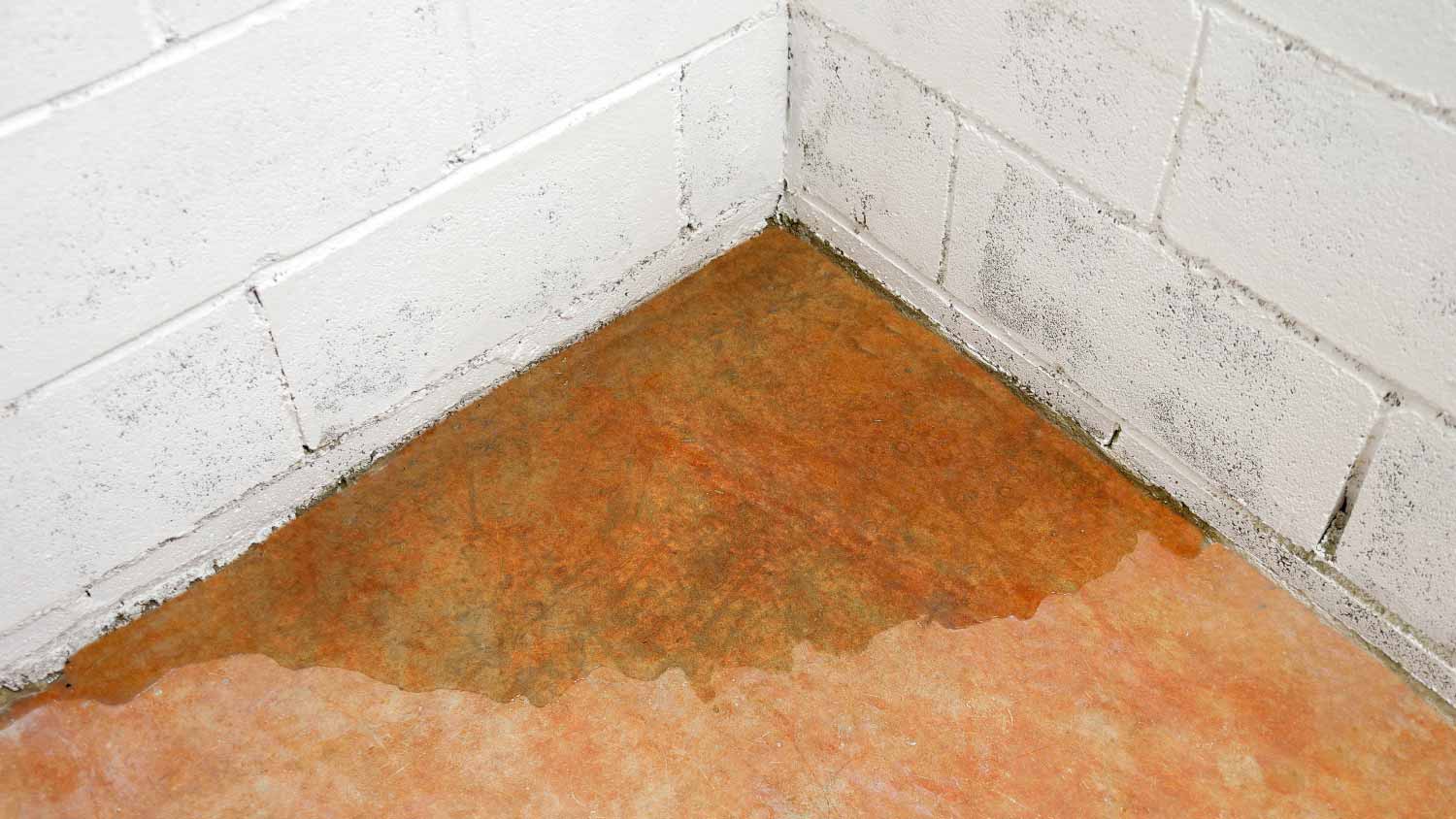 Water coming from basement floor