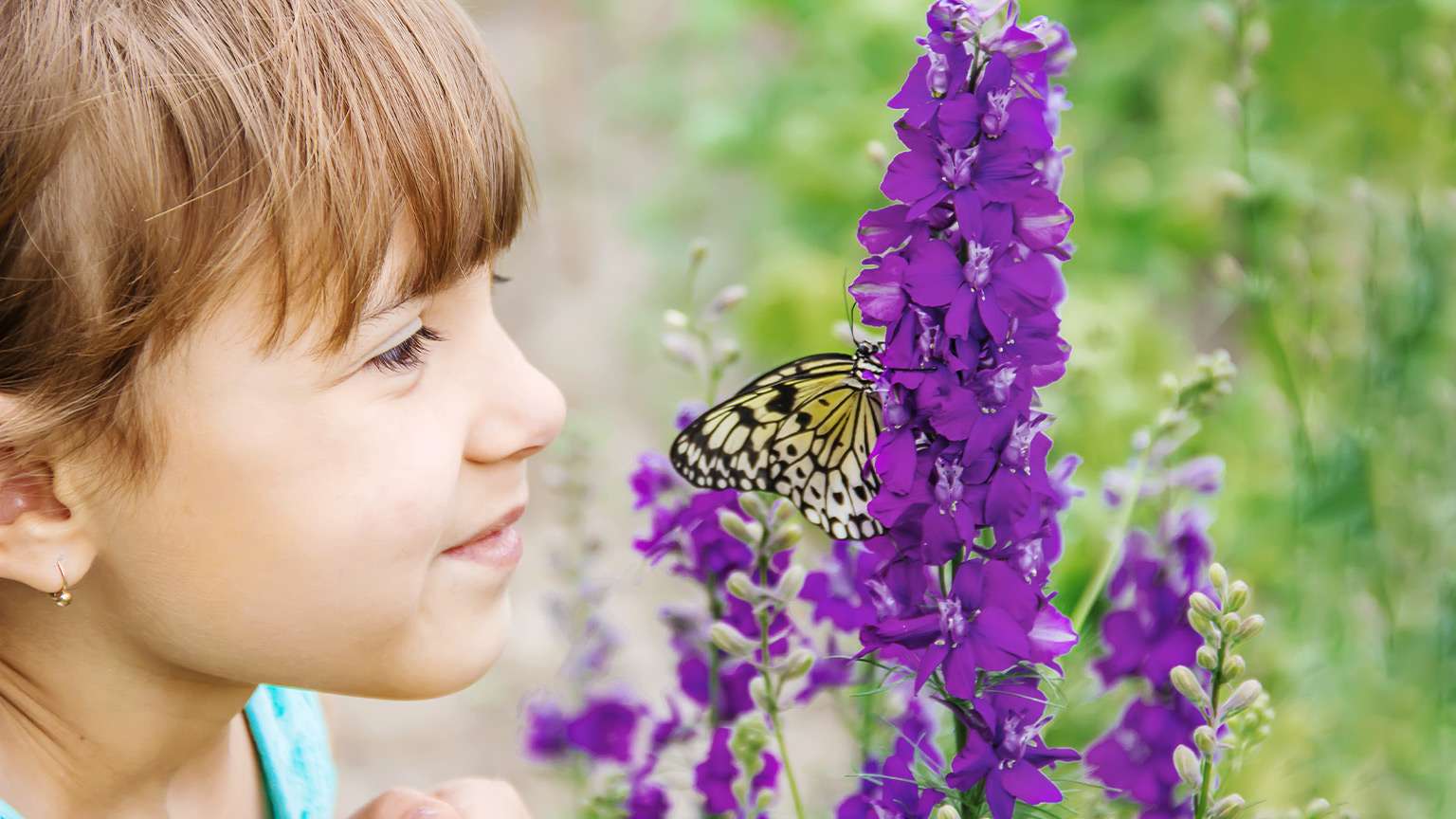 little girl looking at butterfly on purple flower