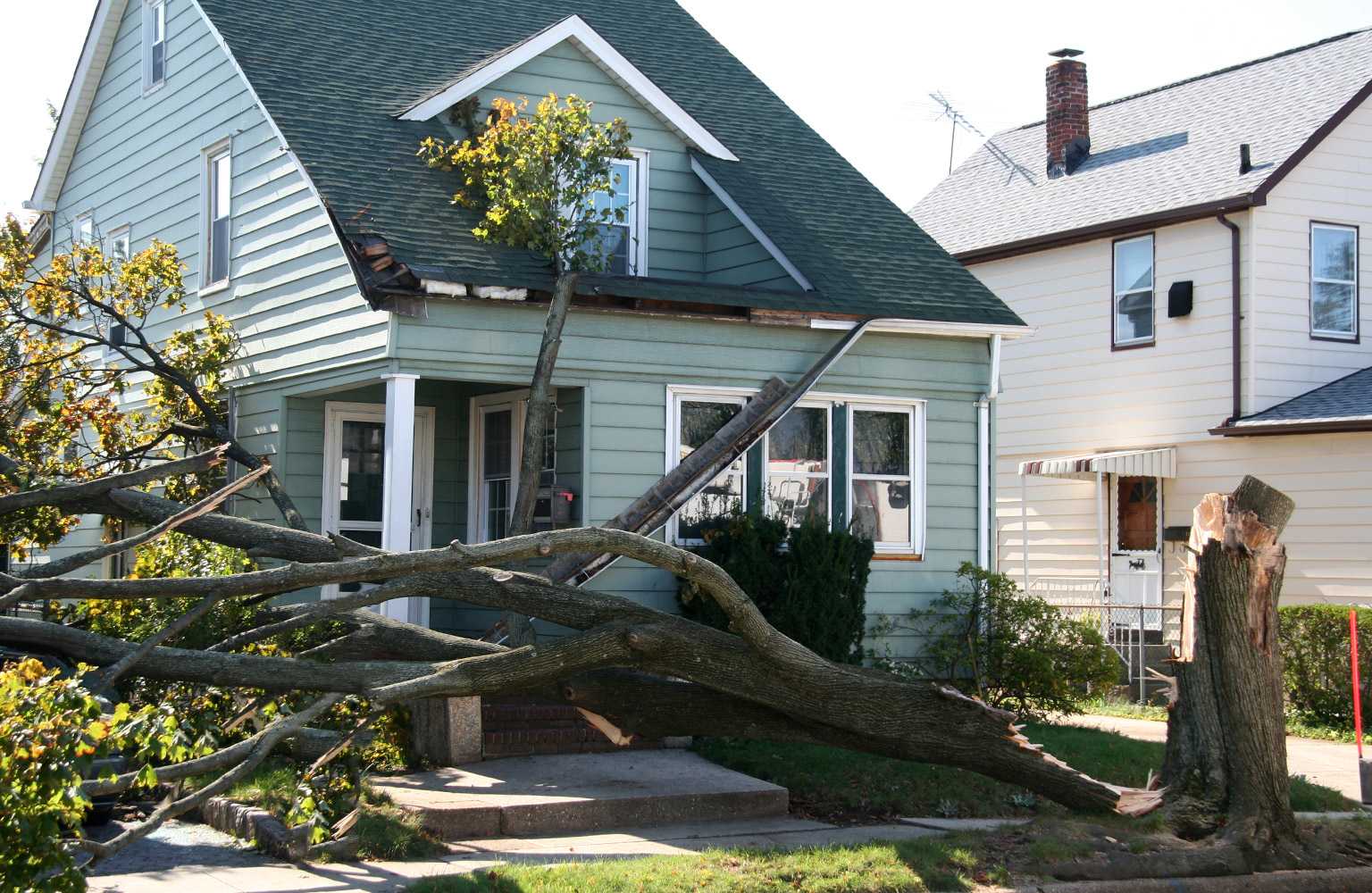 tree falls down on house in front yard