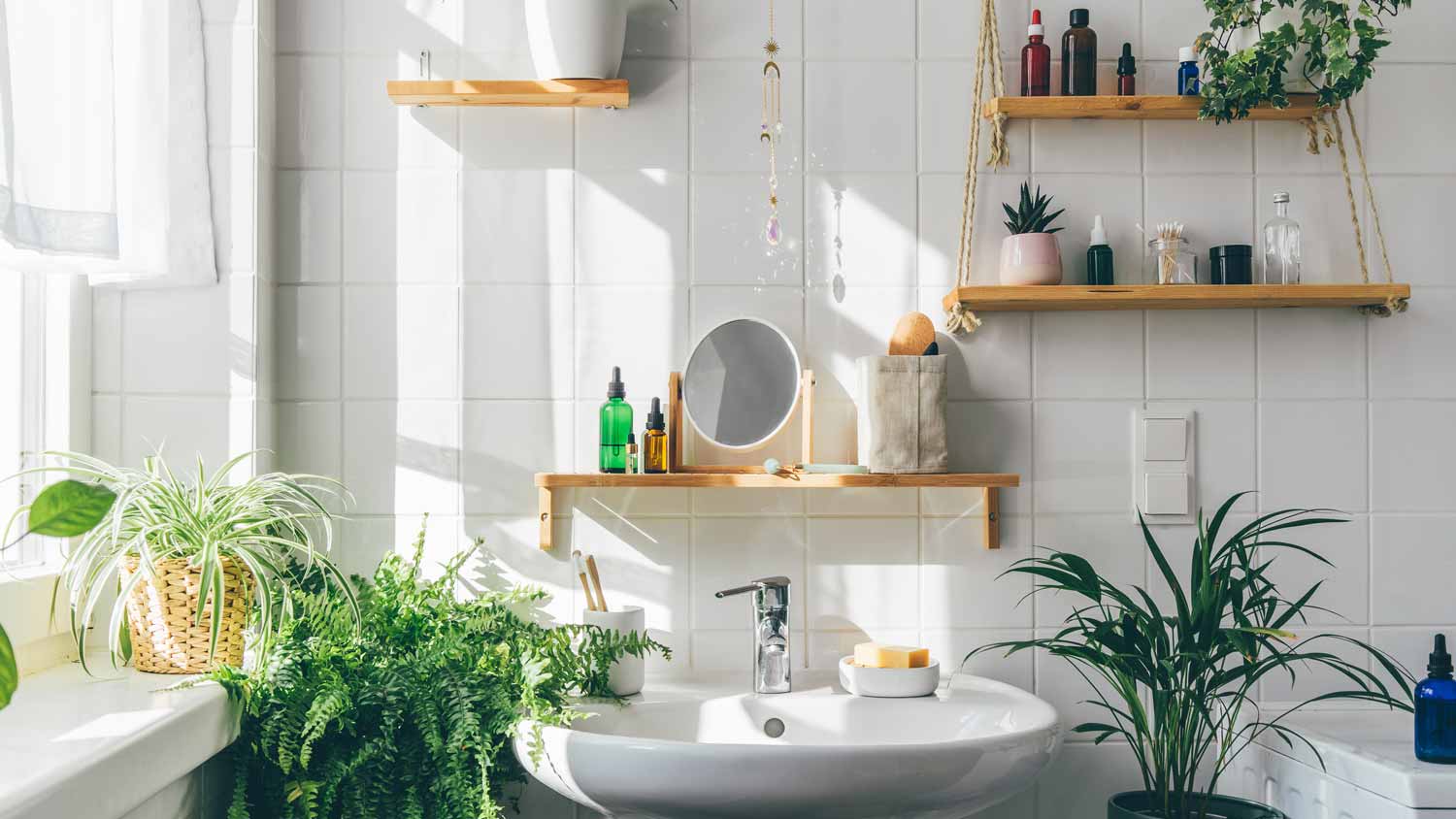 A bright white bathroom with lots of plants