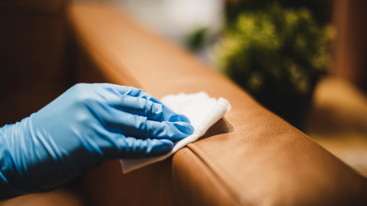 Wiping down leather sofa surface