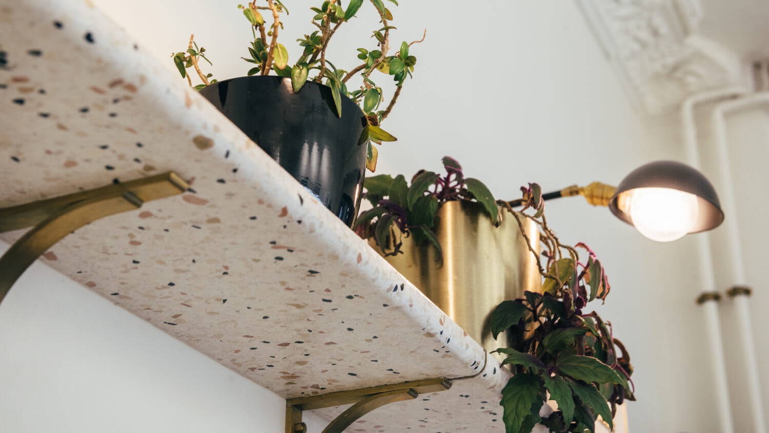 Terrazzo shelf with potted plants and lamp