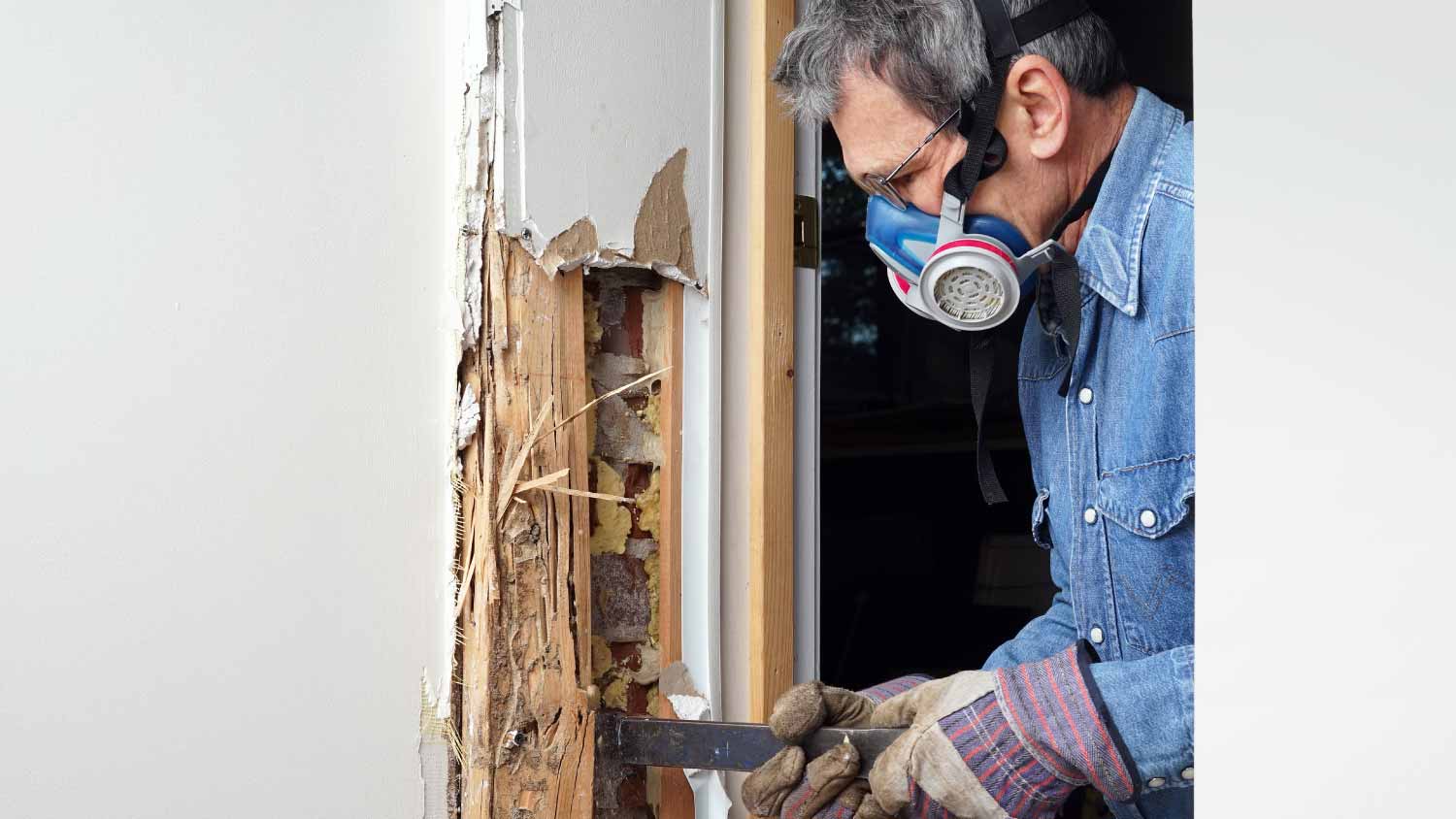 Man removing termite damaged wood