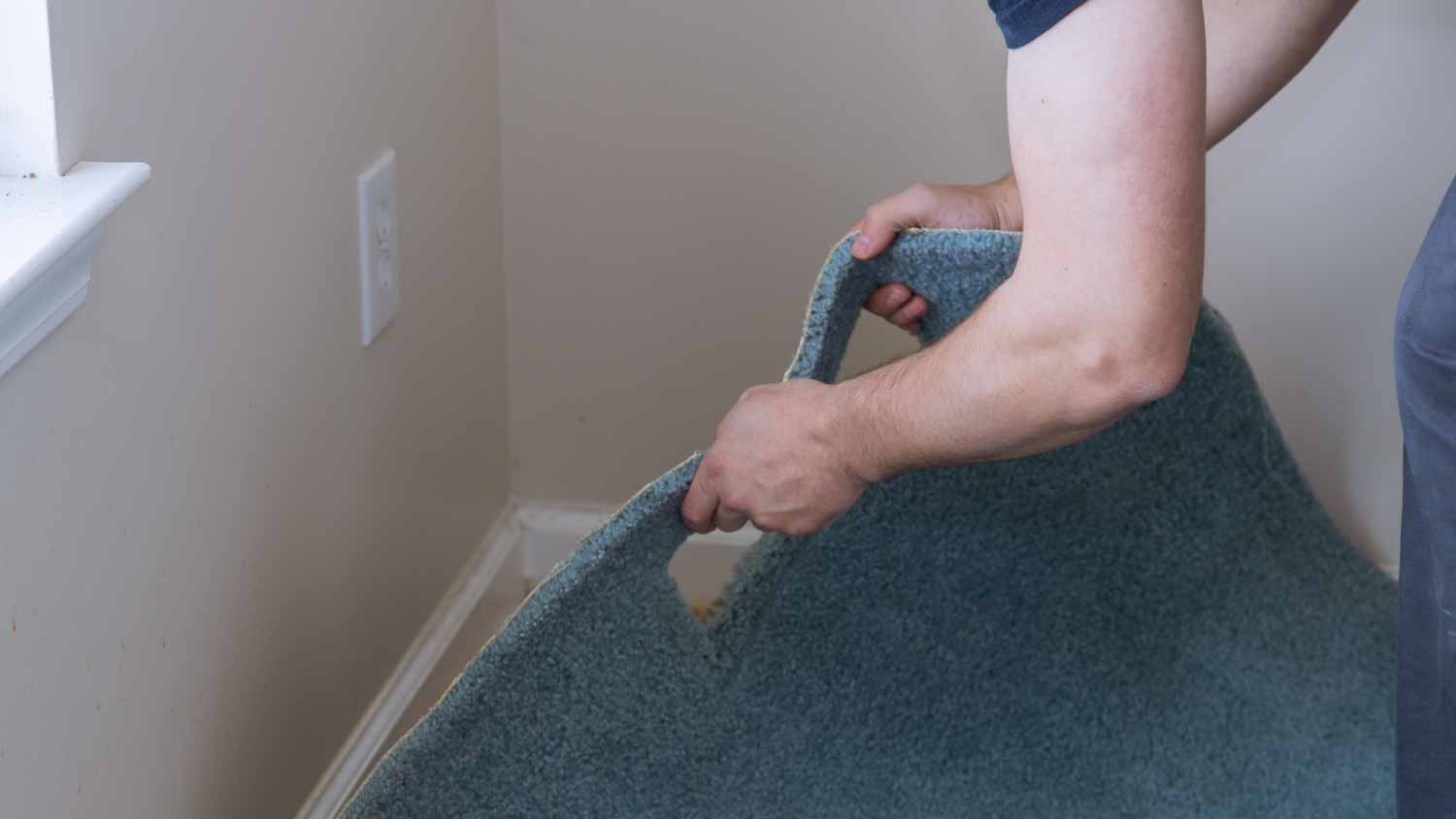 Worker removing a carpet for renovation