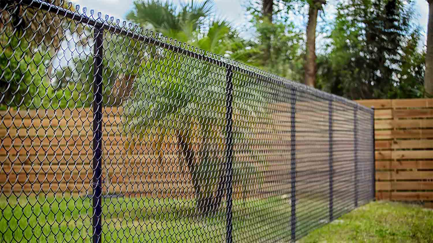 black chain link fence in yard