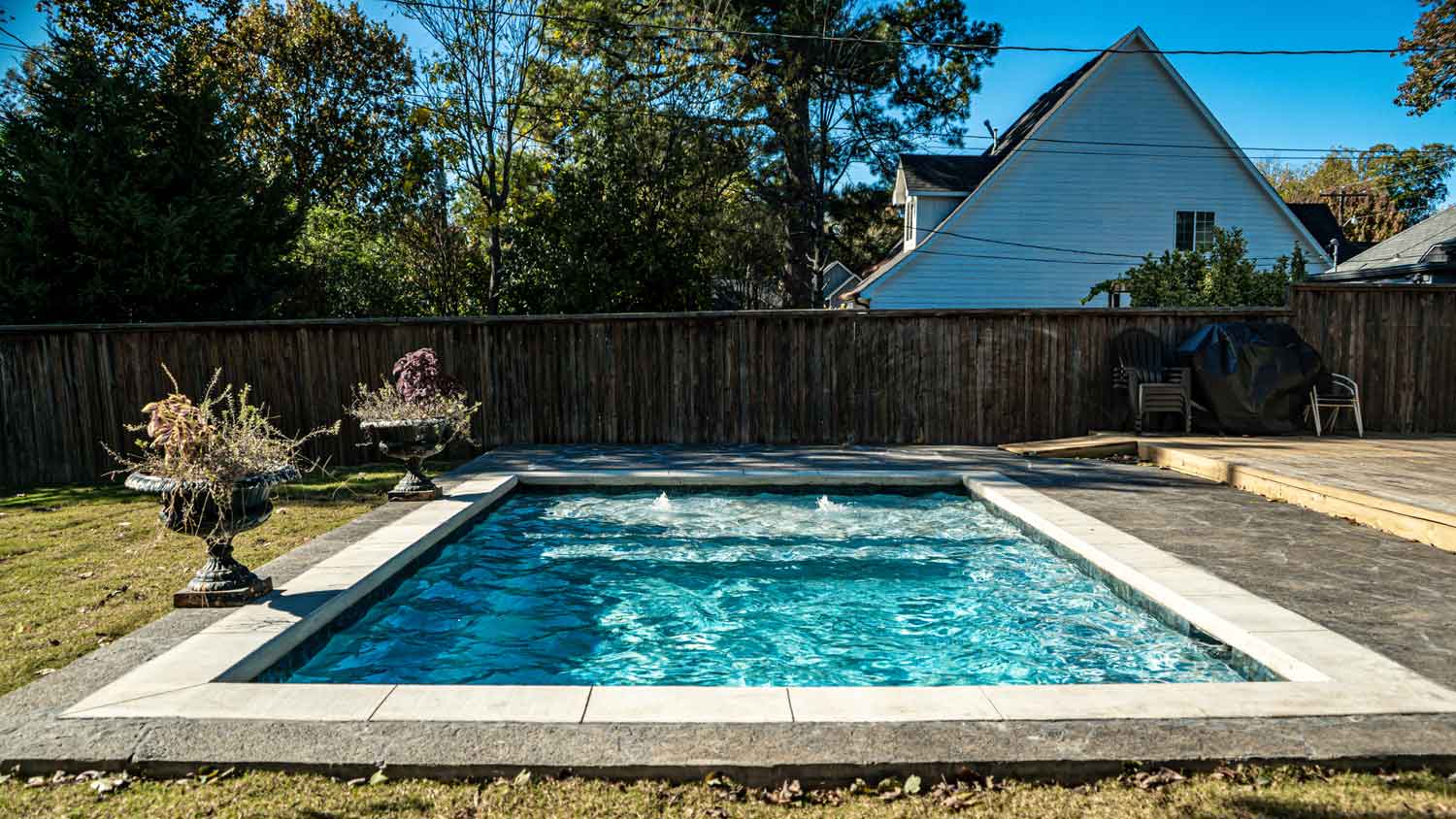 A garden with a gunite pool on a sunny day