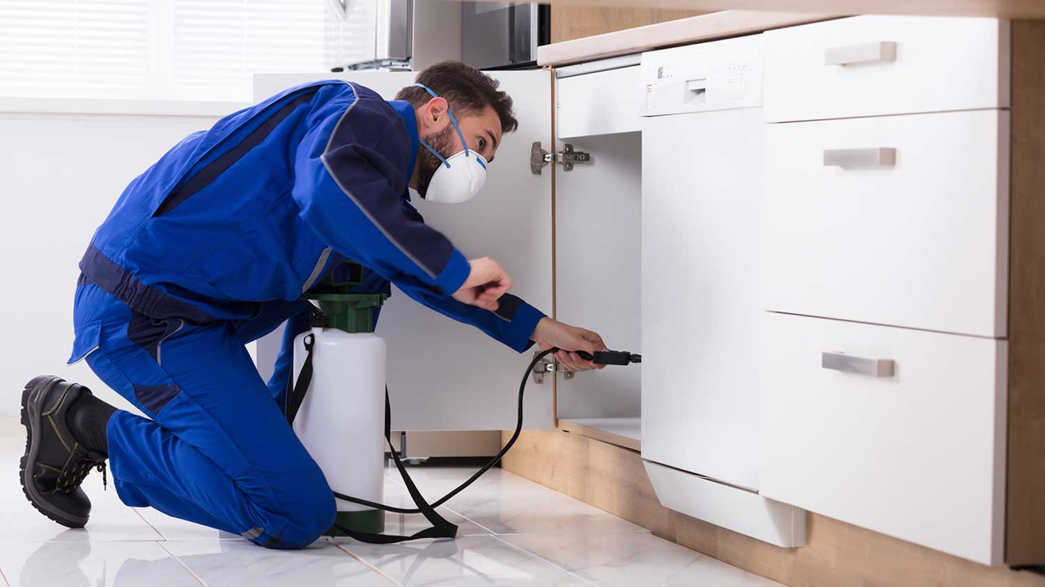 Worker spraying pesticide underneath the kitchen sink