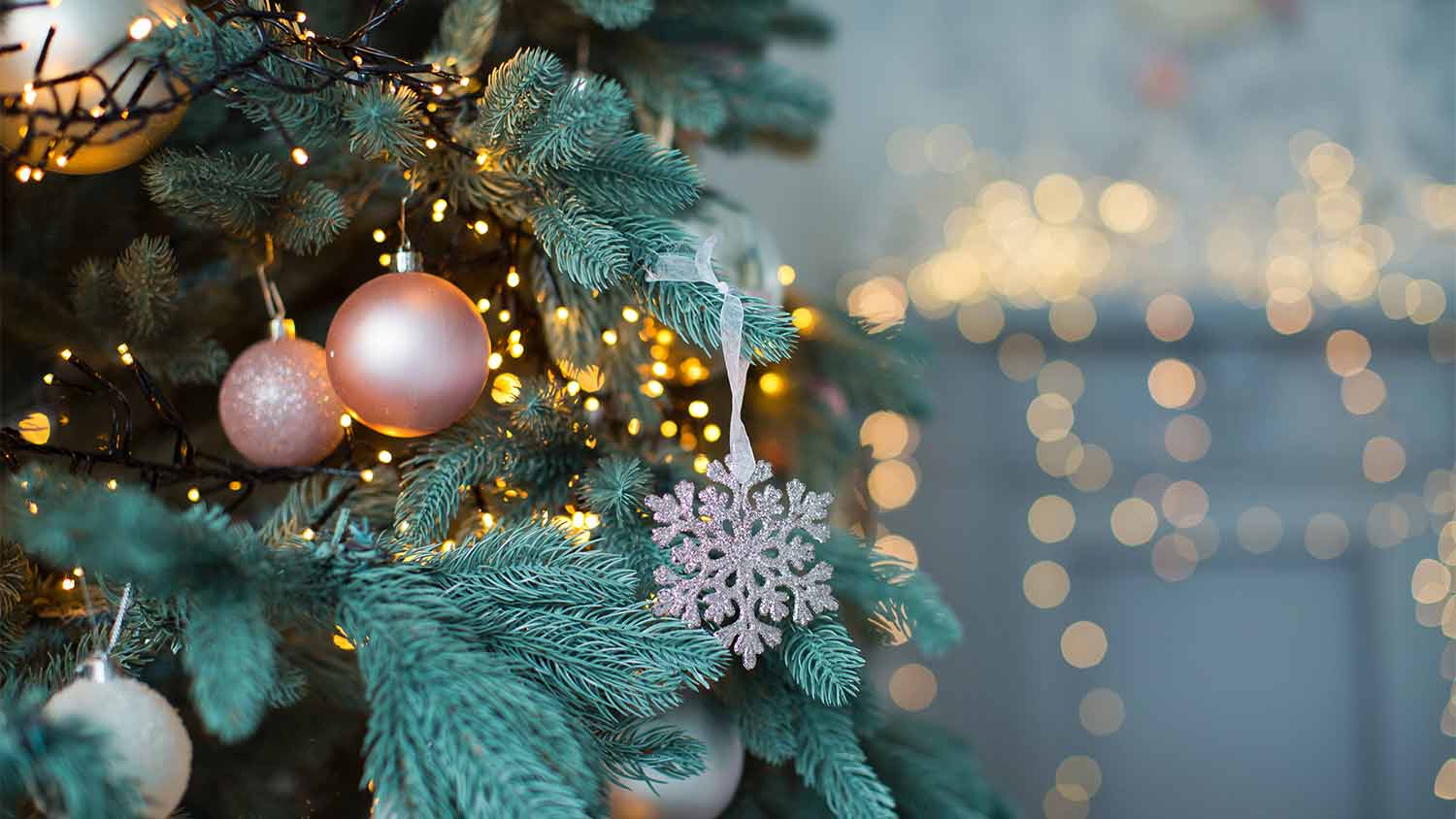A closeup of a Christmas tree