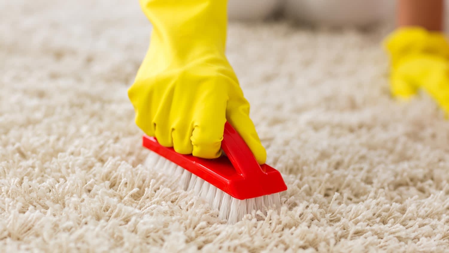 A person srubing a white carpet with a brush