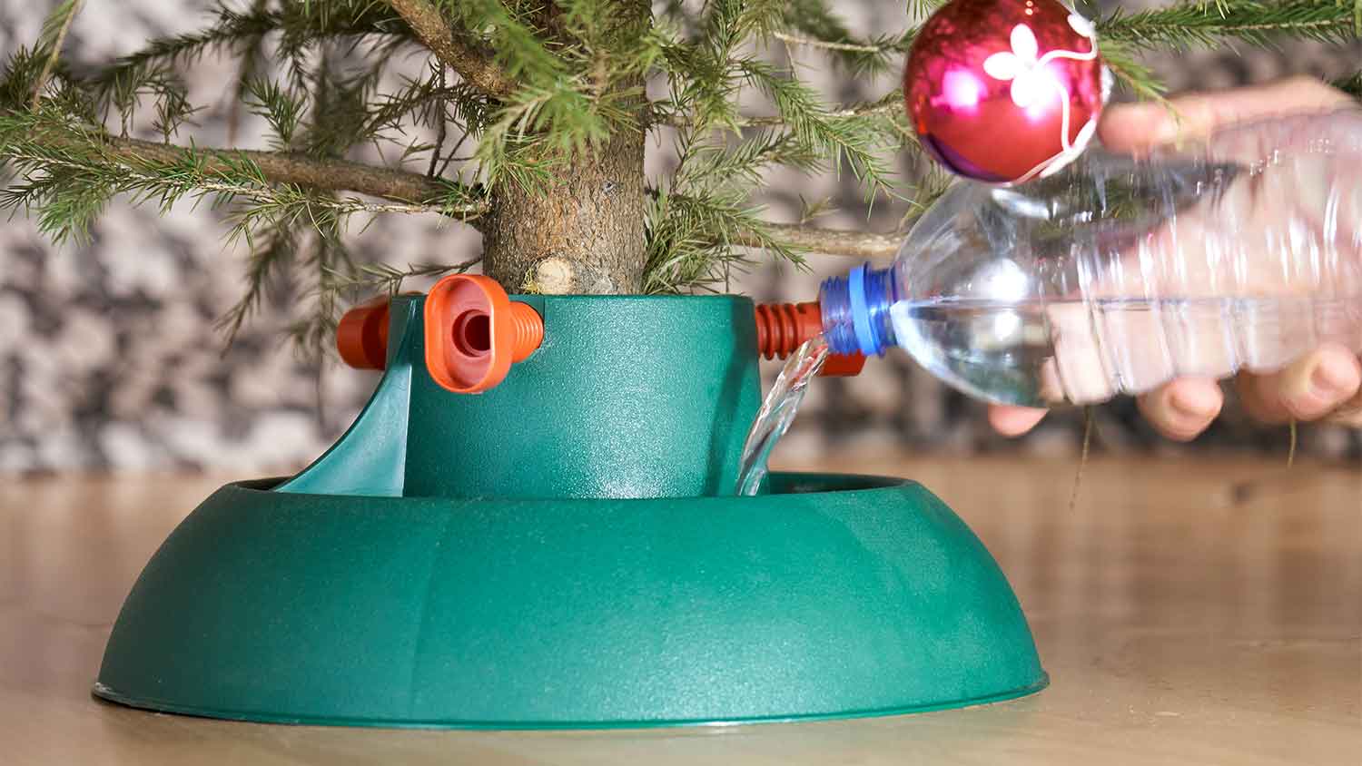 A closeup of someone adding water to a christmas tree stand
