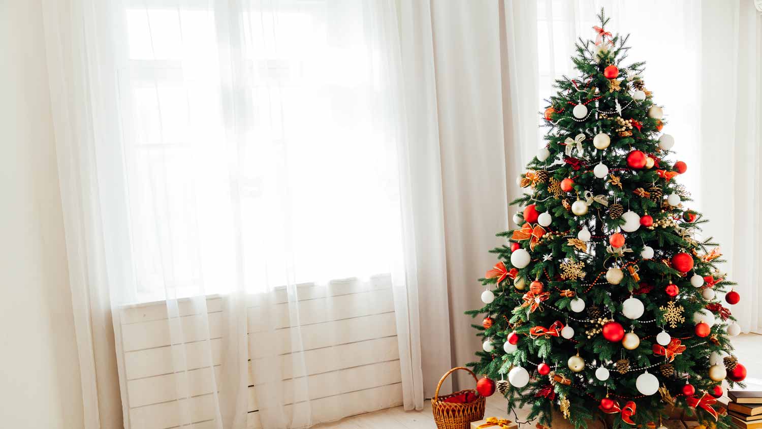 A Christmas tree in a bright room