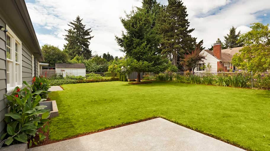 Backyard in residential neighborhood