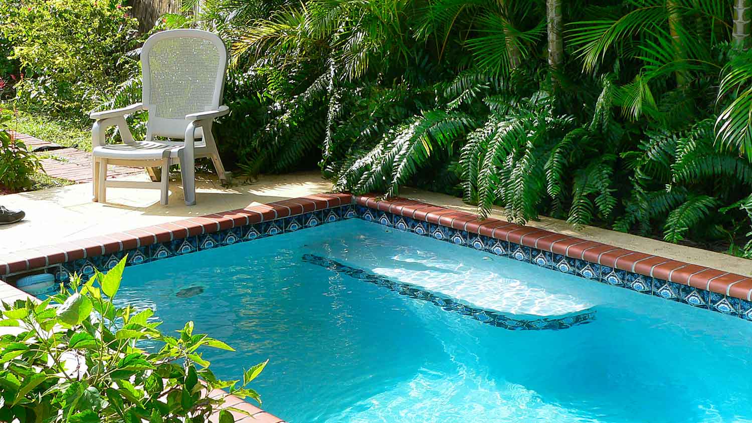 An in-ground plunge pool in a lush backyard