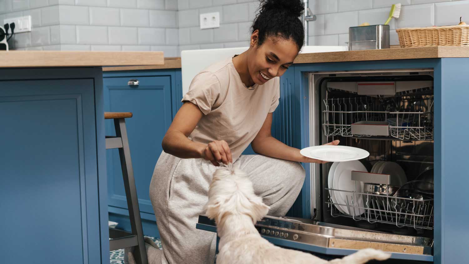 woman feeding her dog while using dishwasher