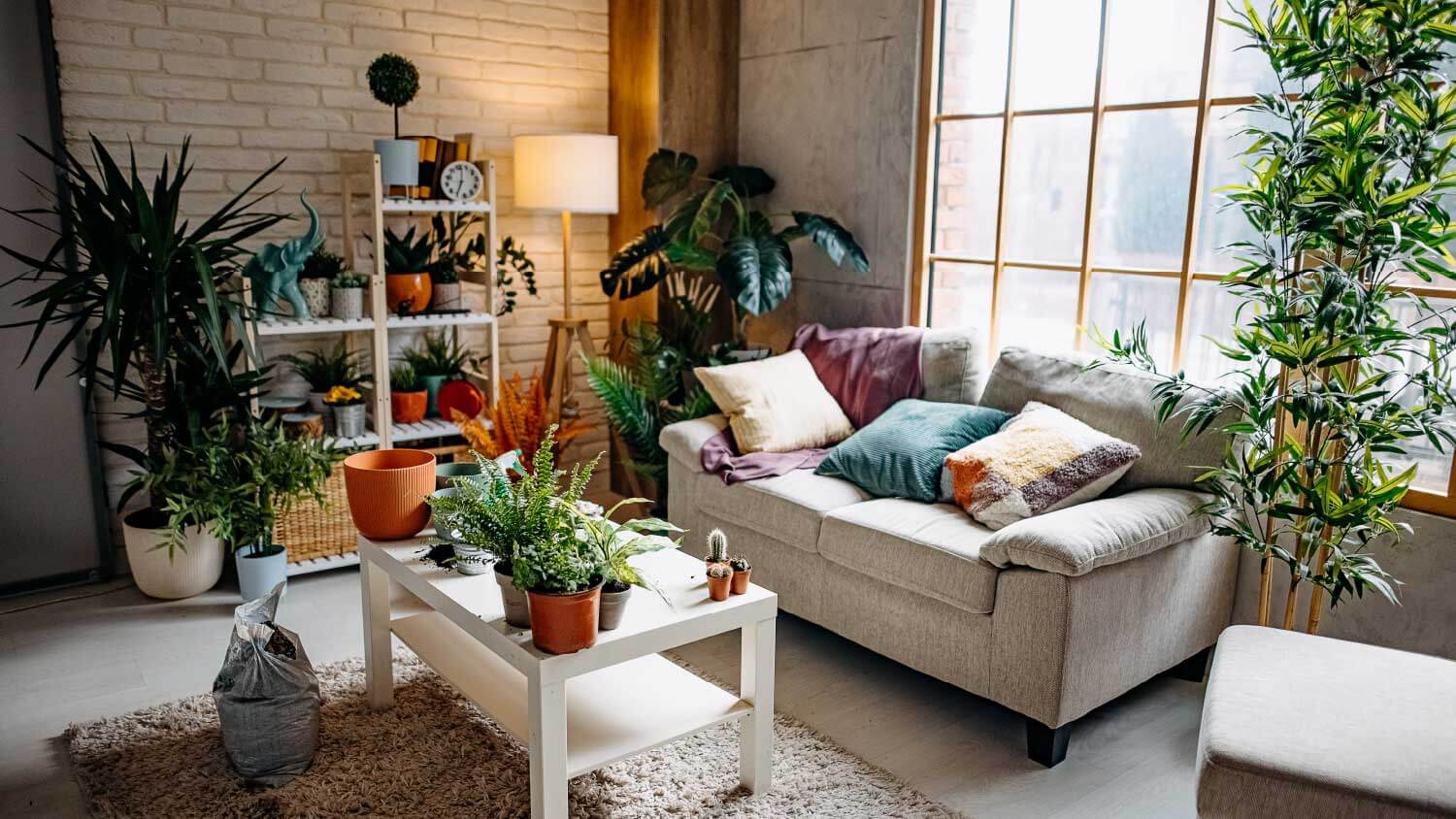 Living room surrounded by plants
