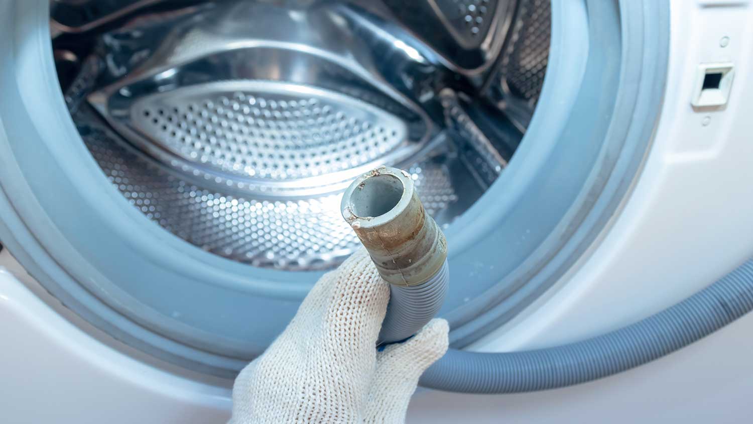 Closeup of a plumber holding washing machine drain hose