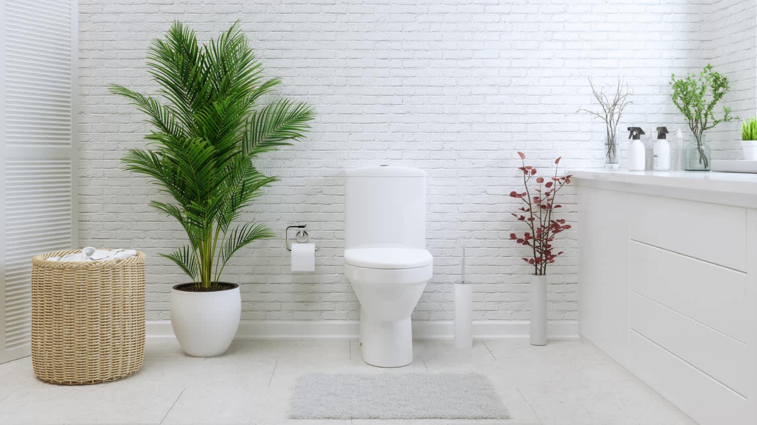 White toilet bowl in a bathroom