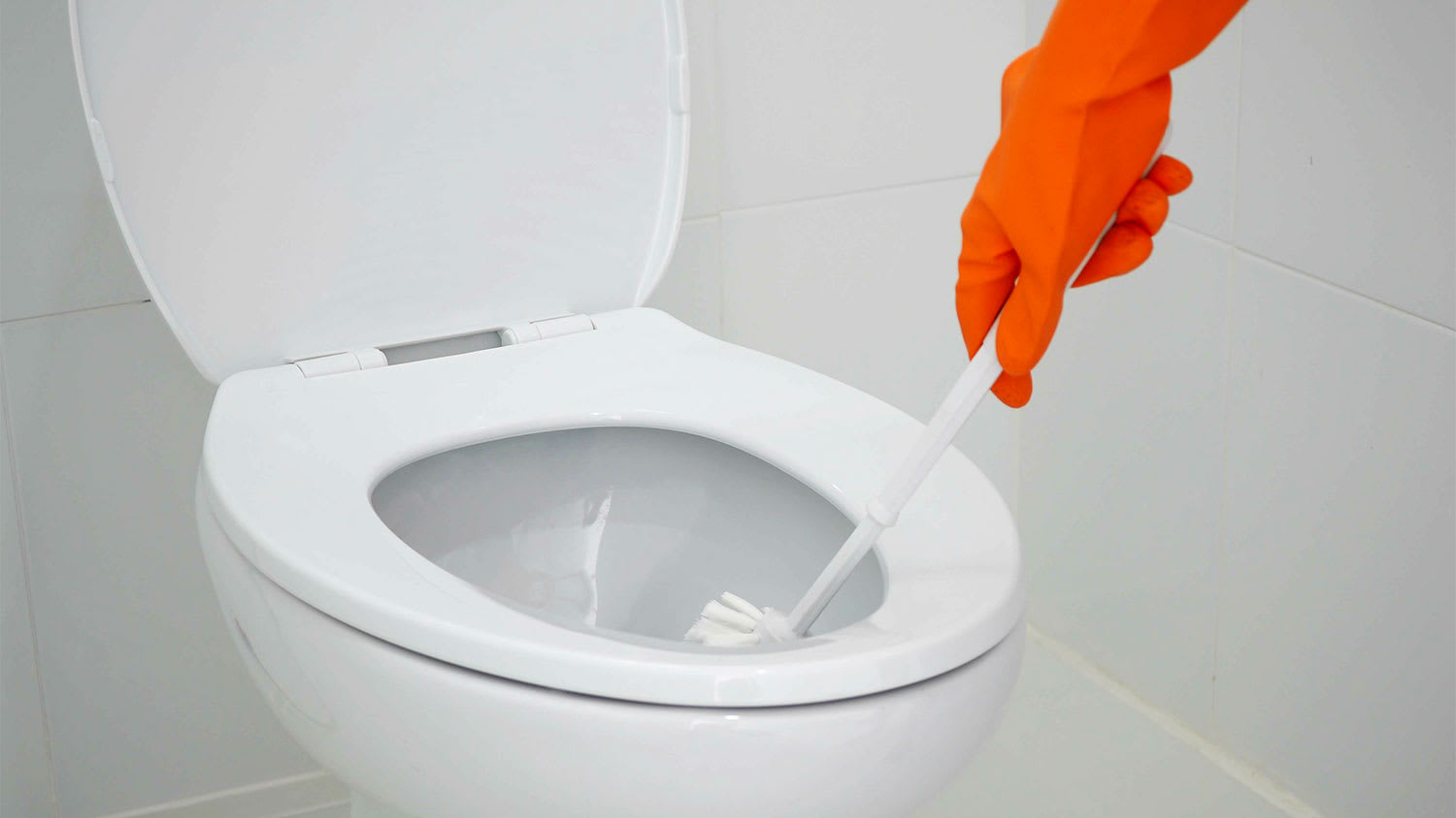 A person cleans a toilet bowl
