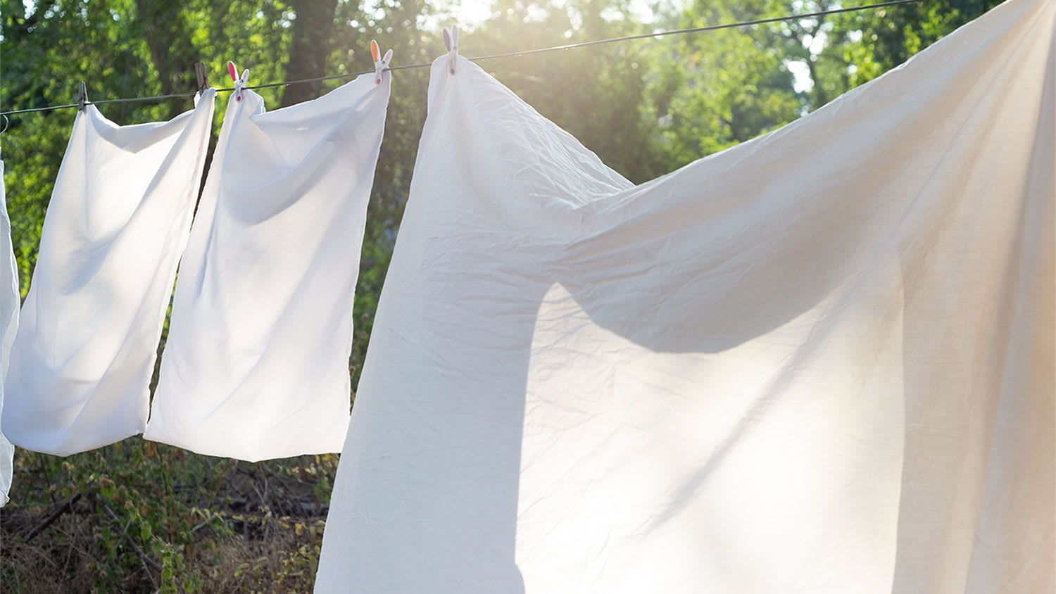 A view of a white sheets hanging on a clothesline