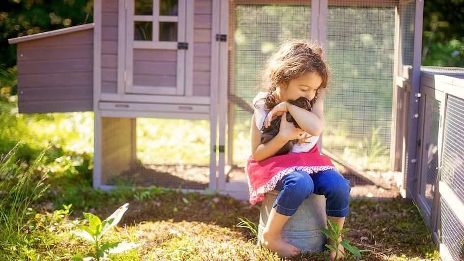 Girl sitting by a chicken coop hugging a chicken