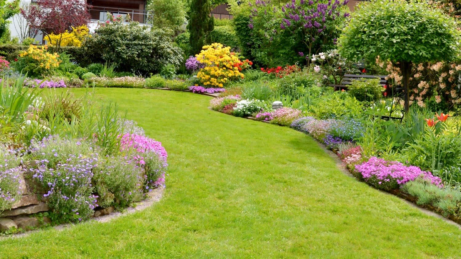 A nice garden with flowers