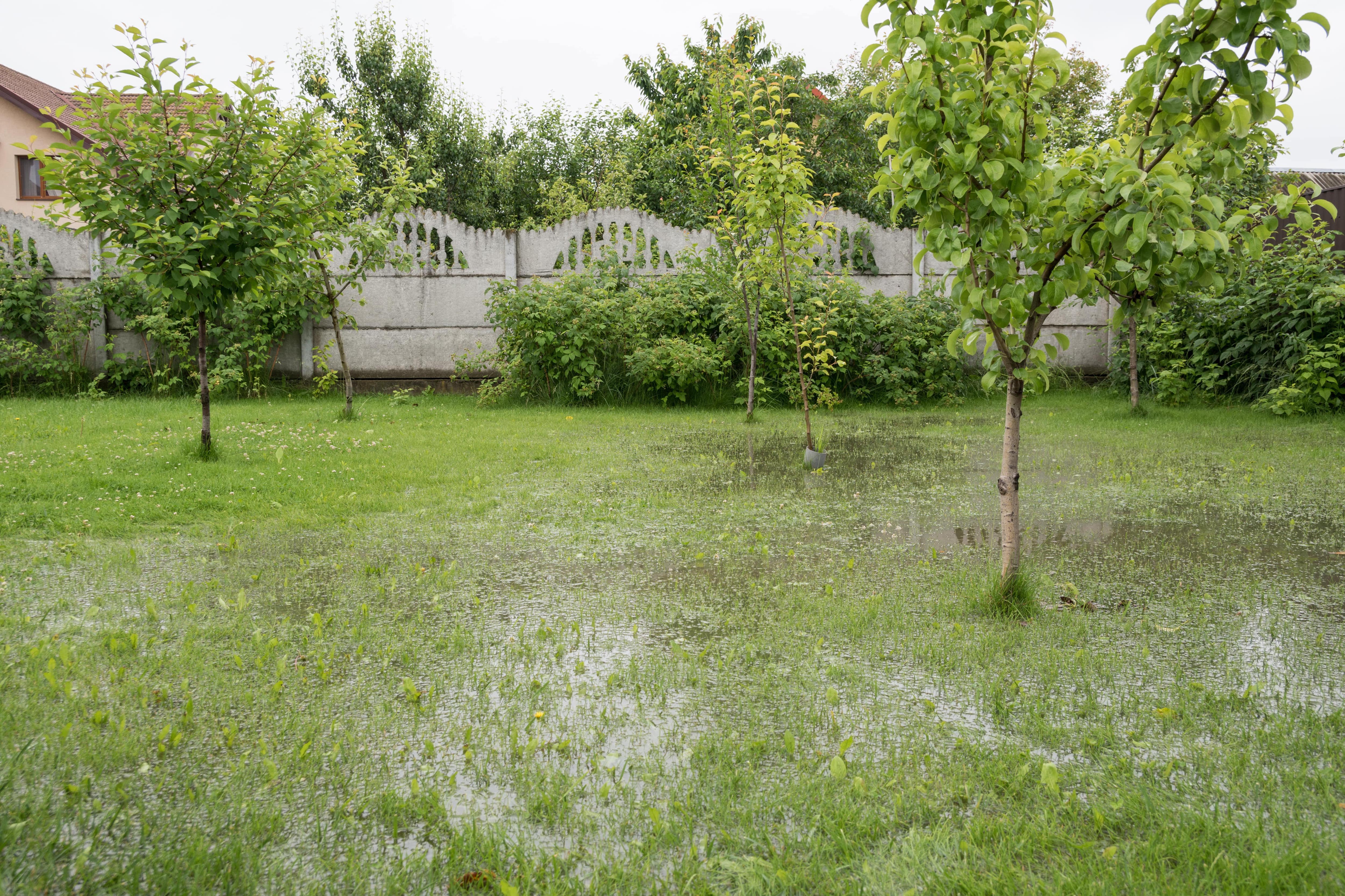 a flooded backyard