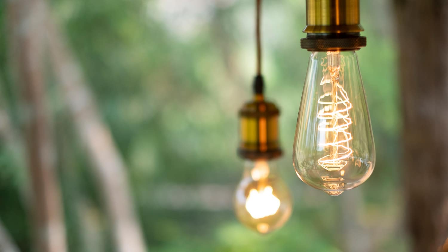 Close-up of two retro incandescent light bulbs
