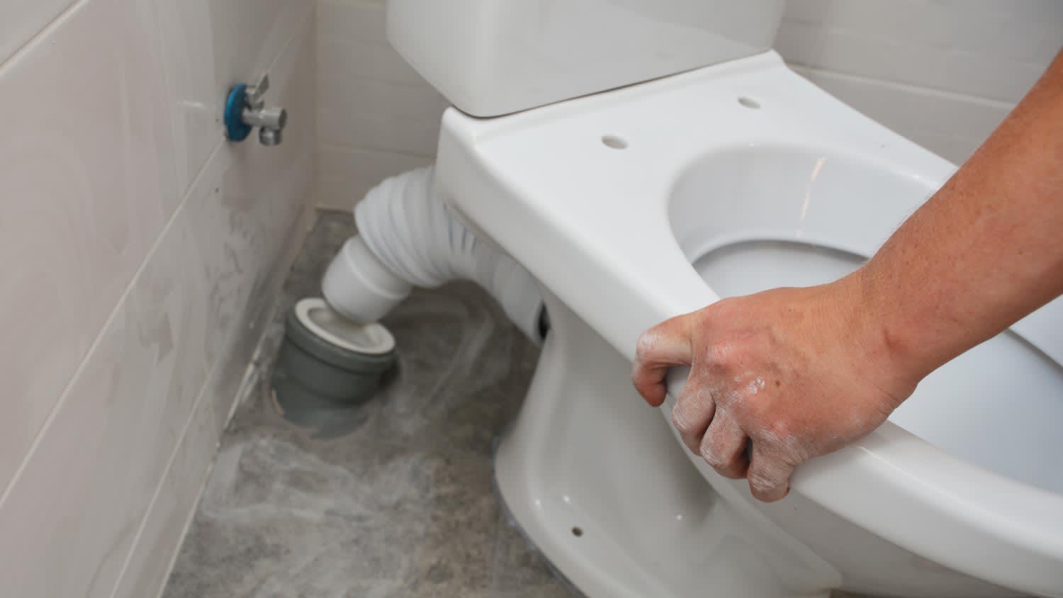 A white toilet bowl