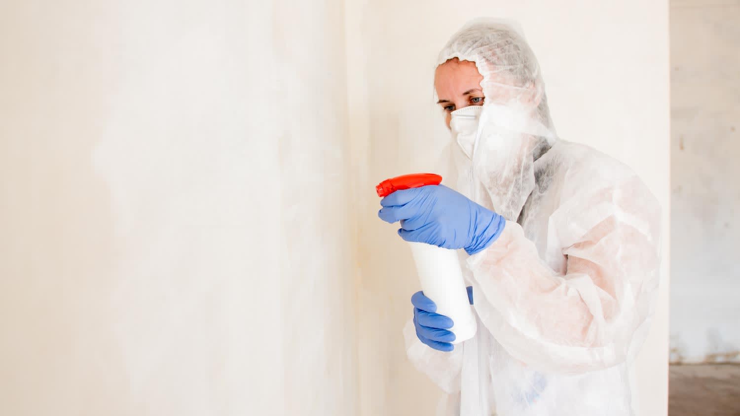 DIY Mold Removal vs. Hiring a Pro